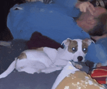 a man is laying on a couch with a dog laying on his lap