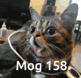 Mogcat 158 GIF - Mogcat Mog 158 GIFs