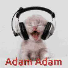 Adam Adam Cute GIF