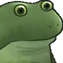 a frog with big eyes is looking at the camera .