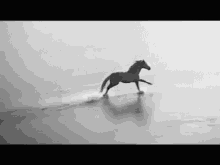 Run GIF - Horse Racing Horses GIFs