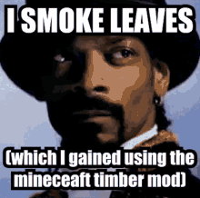Snopp Dogg Has Minecraft Timber Mod GIF - Snopp Dogg Has Minecraft Timber Mod Minecraft Timber Mod GIFs