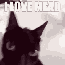 I Love Mead GIF - I Love Mead Shaking GIFs