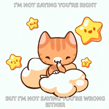 a cartoon cat is sitting on a cloud with the words " i 'm not saying you 're right " written below it