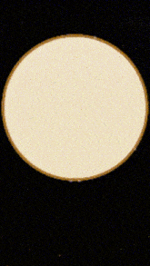 a picture of a woman with blonde hair is in a circle on a black background