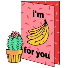 milo and dax banana im banana for you plant cactus