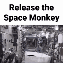 Monke Spaceship GIF - Monke Spaceship Release The Monke GIFs