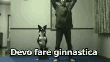 Ginnastica Sport Mettersi In Forma Palestra Cane GIF - Workout Sport Exercise GIFs