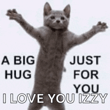 Hug Cat Love GIF