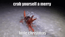 Crab Christmas GIF - Crab Christmas Merry GIFs