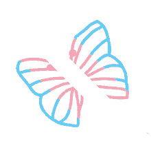 trans butterfly