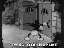 open open up door mickey