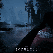 a video game called the bornless shows a person holding a bow and arrow