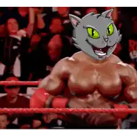 a cartoon cat is standing in a boxing ring with red gloves