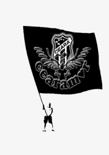 Bandeira Cearamor Flag GIF