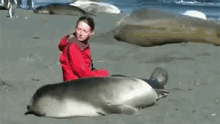 I Guess You Could Say That Kiss Really... Sealed The Deal GIF - Seal Kiss GIFs