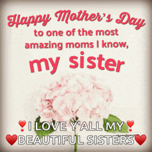 happy mother 's day to one of the most amazing moms i know my sister i love y 'all my beautiful sisters