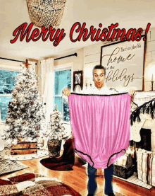 Merry Christmas Surprise GIF - Merry Christmas Surprise Big Gift Idea GIFs