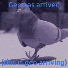 Geo Arrived GIF - Geo Arrived I Have Arrived GIFs