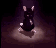 Rat Dance GIF - Rat Dance Moves GIFs