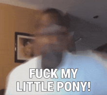 Fuck My Little Pony Brony GIF - Fuck My Little Pony Brony Meme GIFs