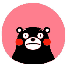 Bear Question GIF
