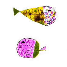 fish peces