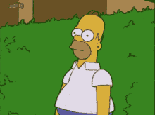 The Simpsons Homer Simpsons GIF - The Simpsons Homer Simpsons Hide GIFs
