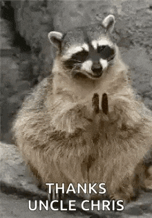 a raccoon is sitting on a rock with its paws folded in prayer and saying `` thanks uncle chris '' .