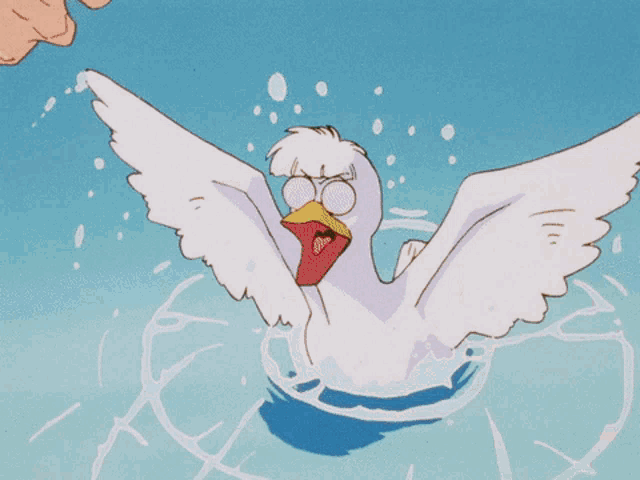 Why did Ahiru stay as a duck with Fakir instead of being Princess Tutu or a  human girl? - Quora