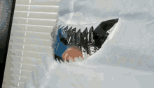 Tiburón Freddy GIF - Tiburón Freddy Vueltas GIFs