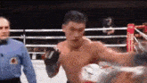 Dmitry Bivol Boxing GIF - Dmitry Bivol Boxing Wba GIFs