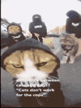 a cat wearing a black hoodie is standing in front of a group of people