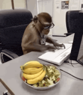 a monkey wearing glasses is typing on a laptop next to a plate of bananas and vegetables .