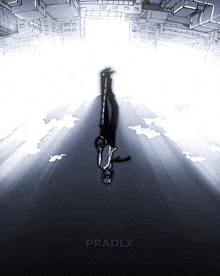 a black and white drawing of a man with the word pradlx on the bottom right