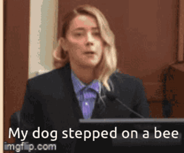 Dog-stepped-on-a-bee GIFs - Get the best GIF on GIPHY