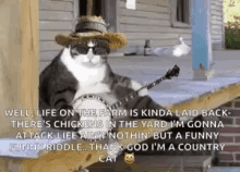 cat banjo life on the farm thank god im a country cat