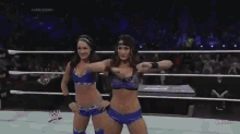 Wwe Nikki Bella Vs Tamina GIF - Wrestling Wwe Nikki Bella GIFs