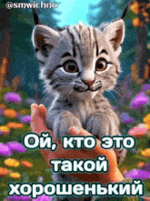 a picture of a kitten being held in someone 's hand with a foreign language caption