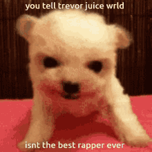 Juicewrld Rapper GIF - Juicewrld Rapper Trevor GIFs