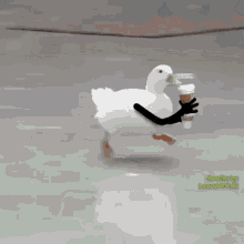 Duck Run Coffee Speed Bird Hot GIF