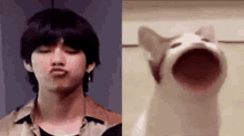 Taehyung Taehyung Cat GIF - Taehyung Taehyung Cat Taehyung Pop Cat GIFs