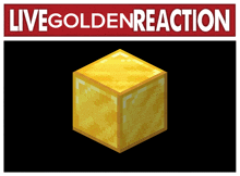 Golden Live Reaction GIF - Golden Live Reaction GIFs