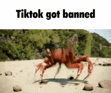 Tiktok Got GIF - Tiktok Got Banned GIFs