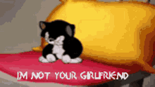 im not your girlfriend arms crossed cat kitty