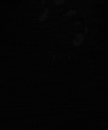 a black and white photo of a cat with the words you didnt hop on beki strem