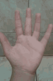 F Uck You Middle Finger GIF - F Uck You Middle Finger Fuck Off GIFs
