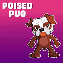 a cartoon illustration of a brown and white bulldog with the words poised pug above it
