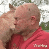 Crying Viralhog GIF - Crying Viralhog Sad GIFs