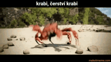 Krab Crab GIF - Krab Crab Matymajuk GIFs